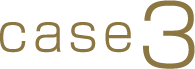 case3